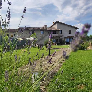 Casale Mille E Notte Lodge